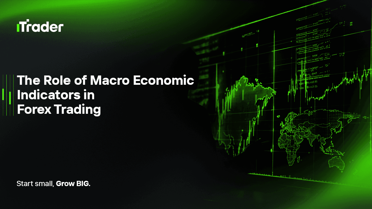 The Role of Macro Economic Indicators in Forex Trading